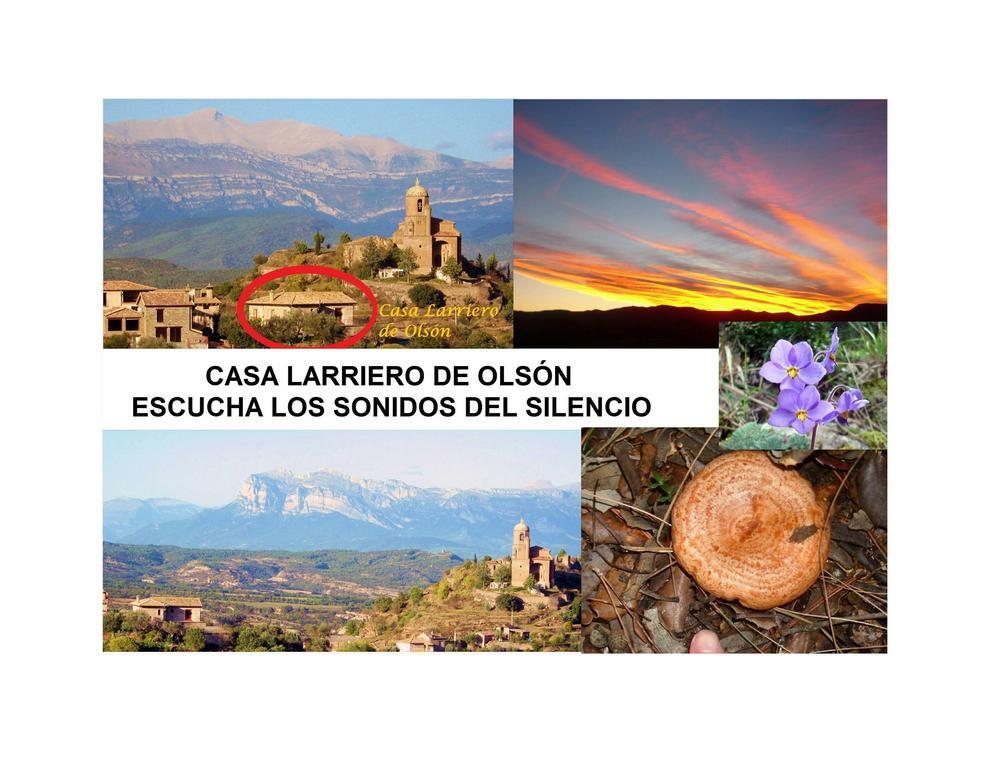 Casa Larriero de Olsón Exterior foto